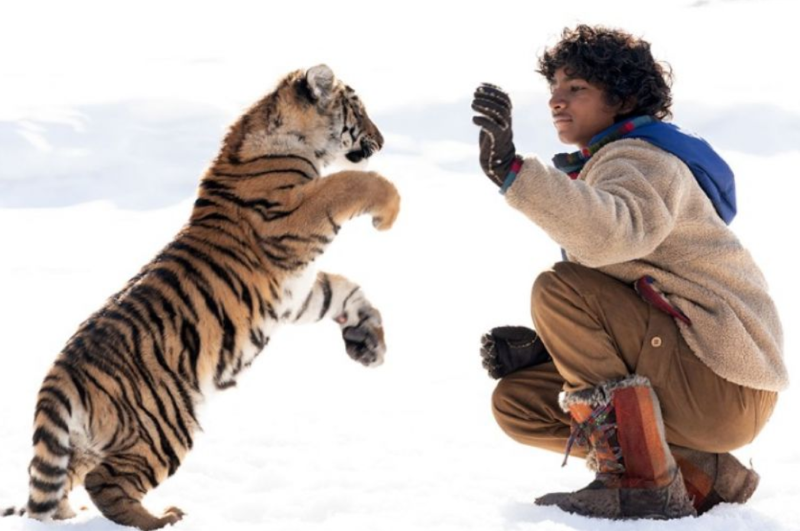 Kadr z filmu PIMI z Krainy Tygrysów