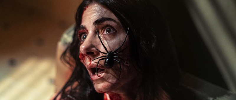 Kadr z filmu Gniazdo pająka