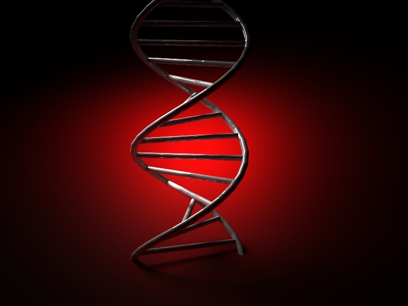 Model DNA Fot. Freeimages
