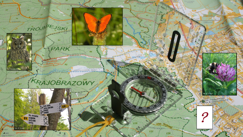 Mapa Biegu na Orientację "Kierunek Bioróżnorodność"