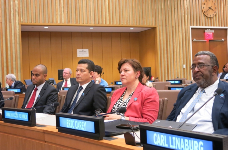 dr Iwona Pawliczka Vel Pawlik