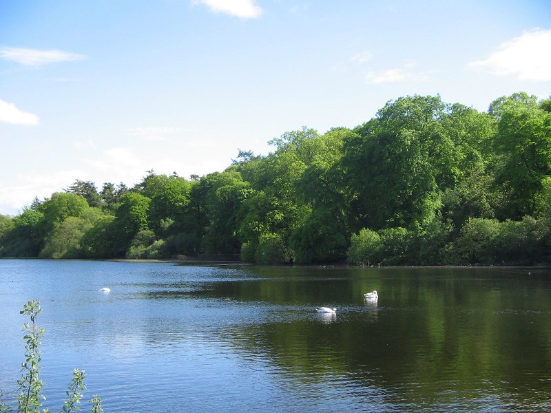 Jezioro Fot. Freeimages