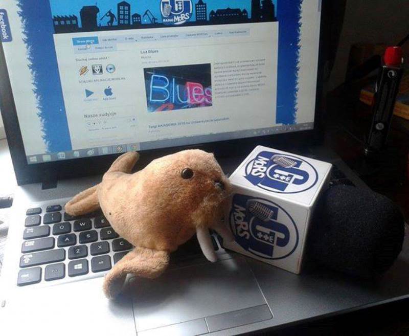 Mors z mikrofonem Radia MORS