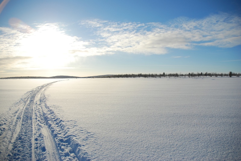 Ślady na śniegowym pustkowiu Fot. Freeimages
