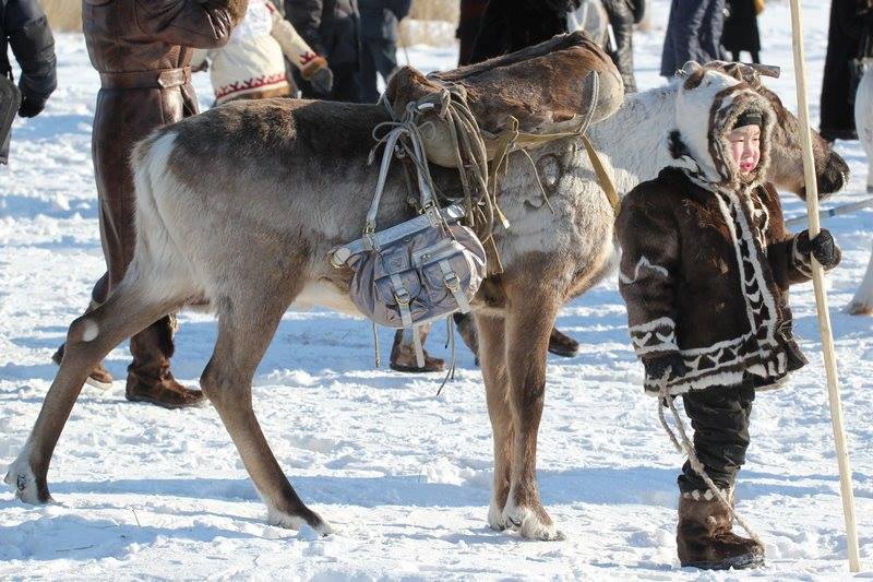 Dziecko z reniferem