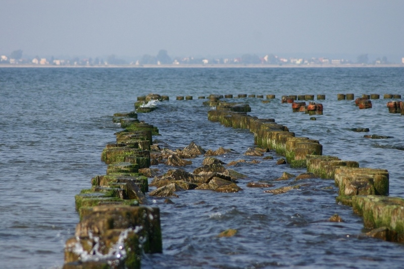 Miasto nad morzem Fot. Freeimages