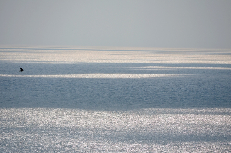 fot. www.freeimagines,com