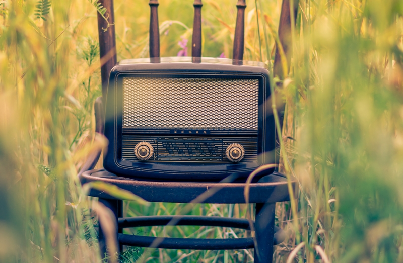 Radio na krześle na polu Fot. Alex Blajan/Unsplash