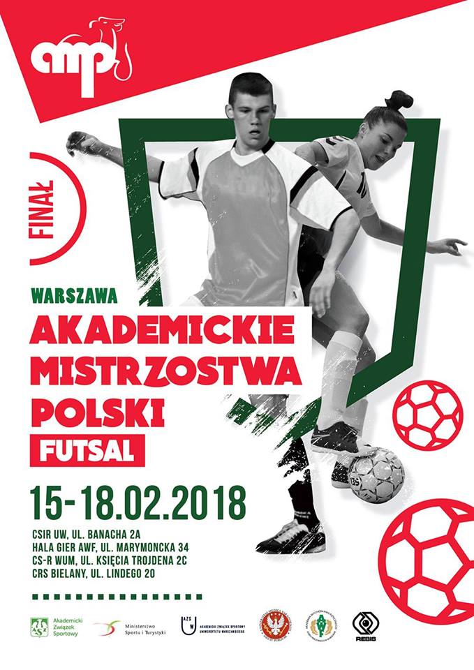 Plakat mistrzostw