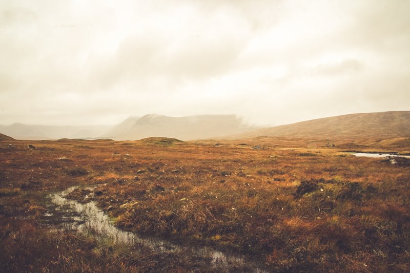 Torfowisko Photo by Jordane Mathieu on Unsplash