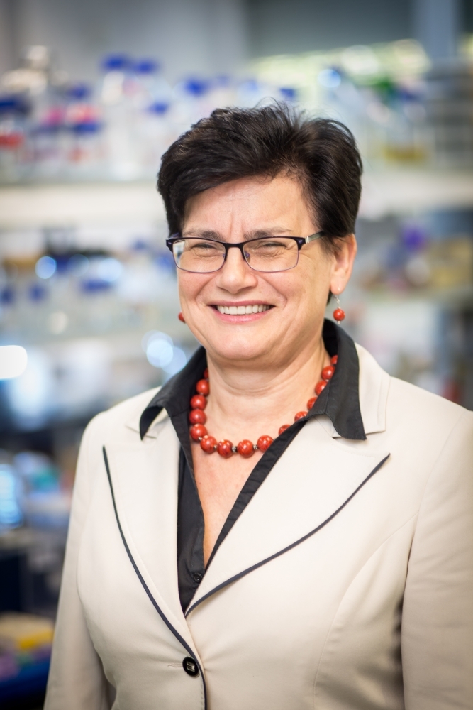 prof. dr hab. Ewa Łojkowska