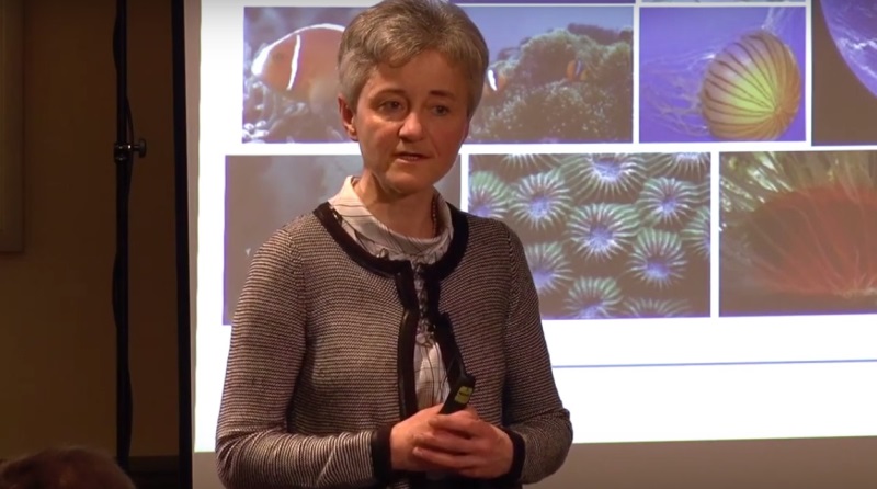 Prof. Hanna Mazur-Marzec Fot. TV TASK