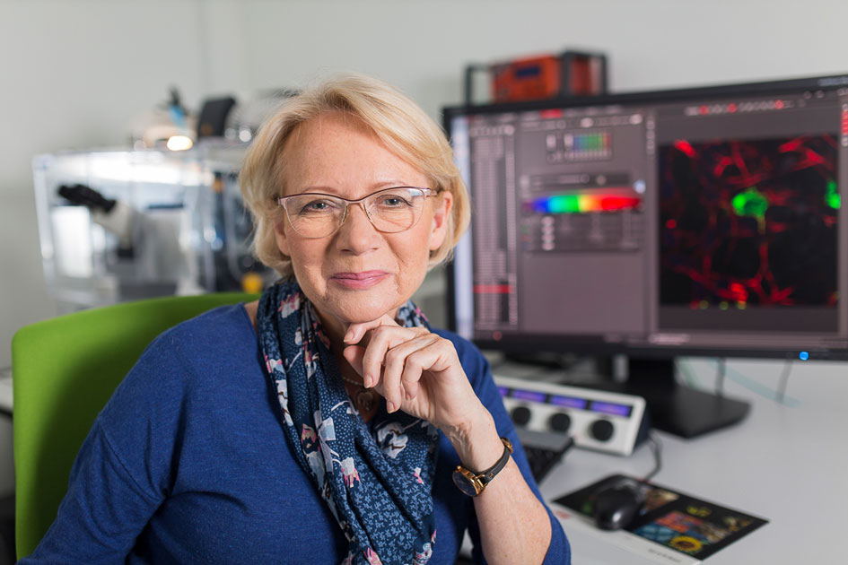 UG w walce z COVID 19