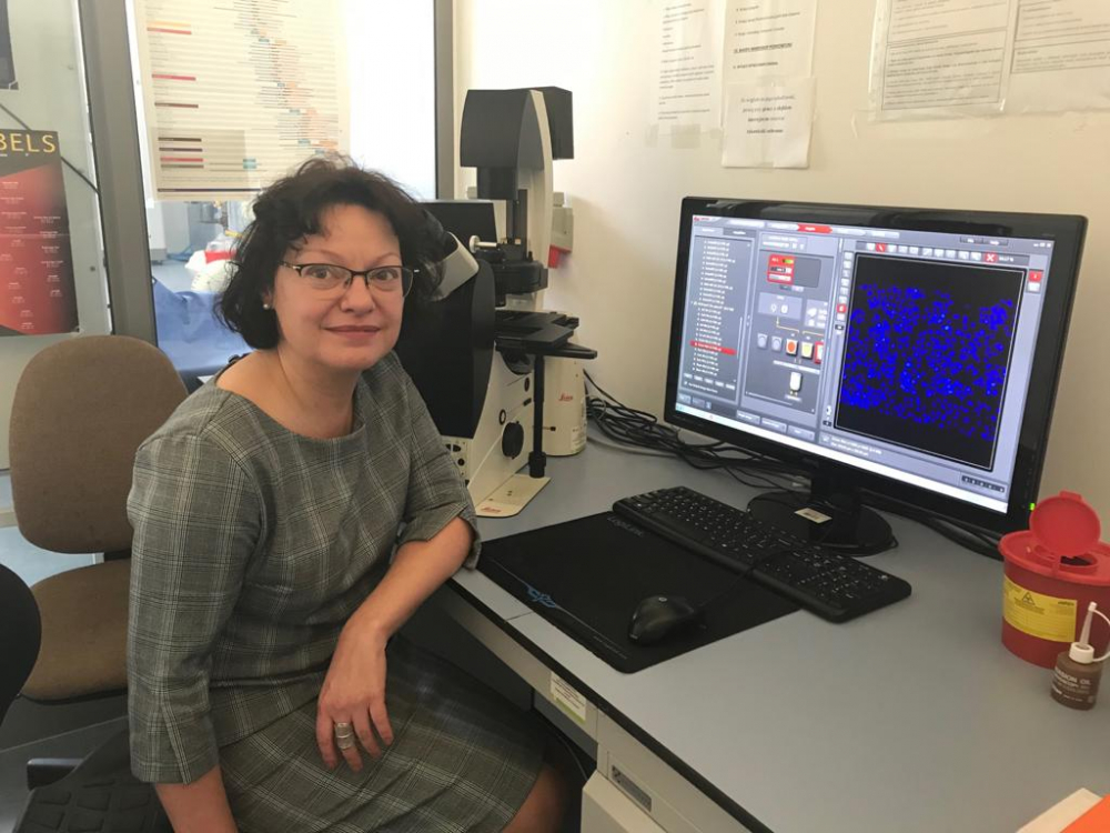 Prof. Anna Herman-Antosiewicz 