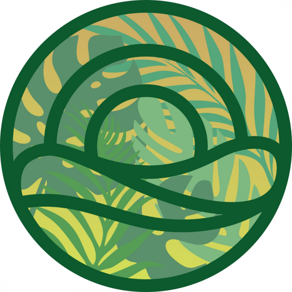 Plażowe Mistrzostwa Polski Ultimate Frisbee 2022