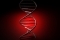 Model DNA Fot. Freeimages
