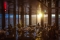 fot. Patryk Sobczak/ Unsplash
