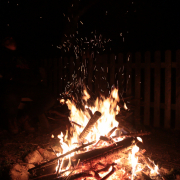 fot._Edyta_Kąkol_19